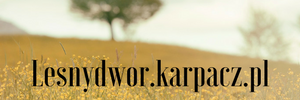Leśny Dwór Karpacz - noclegi Karpacz